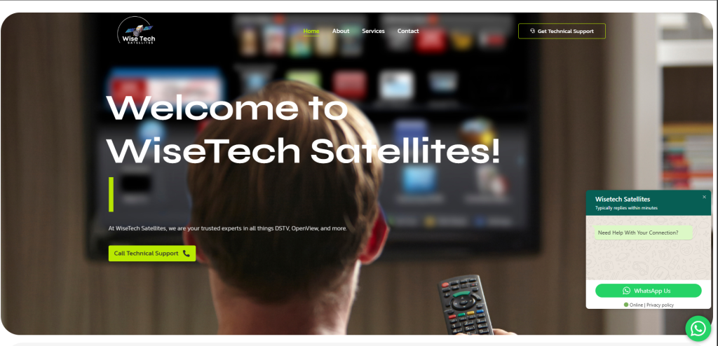 WiseTech Satellites
